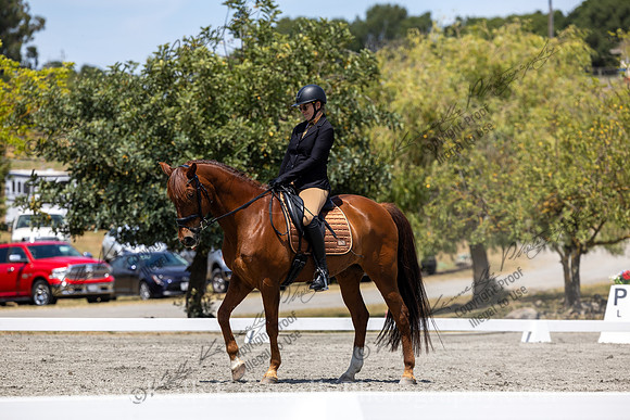 FFDressage23-4587