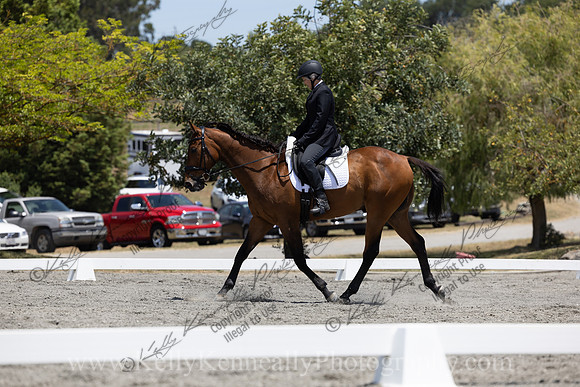 FFDressage23-3552