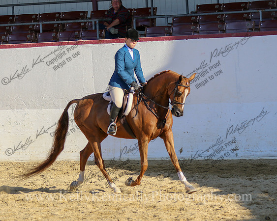 R2CH23_Sat_Deb_1871