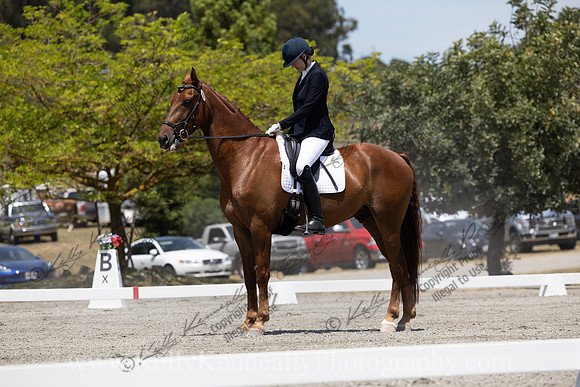 FFDressage23-3910