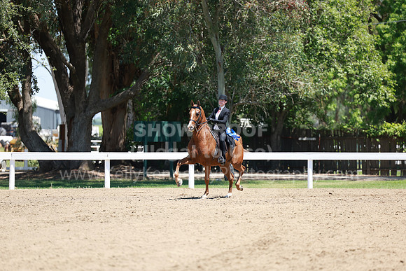 DAHA23_Fri_1231