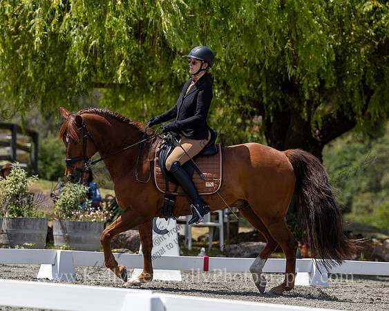 FFDressage23-4611