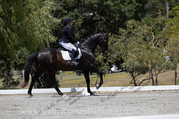 FFDressage23-3844