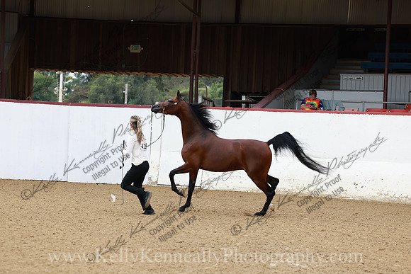 R2CH23_Thurs_0388