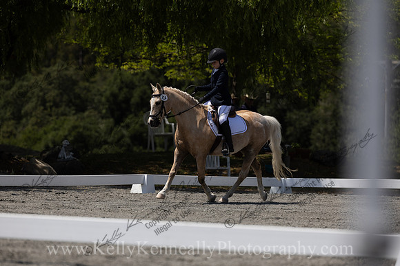 FFDressage23-00287