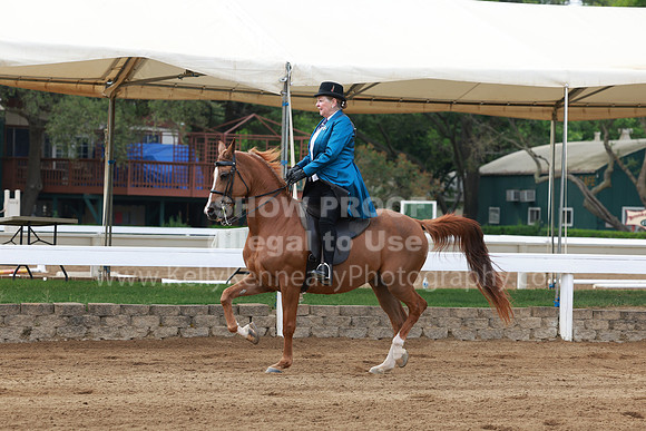 DAHA23_Sun_7418