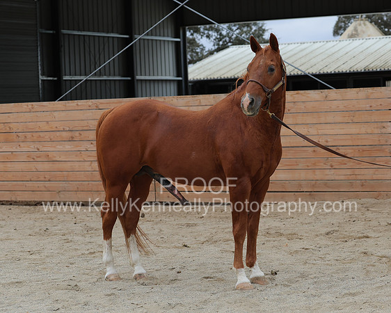 DocFall26_6304