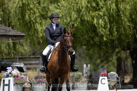 FFDressage23-00160