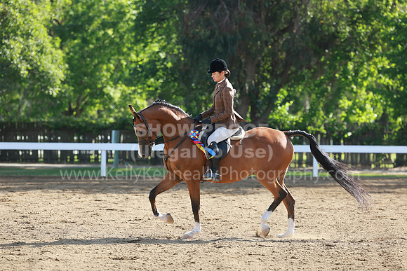DAHA23_Sun_8086