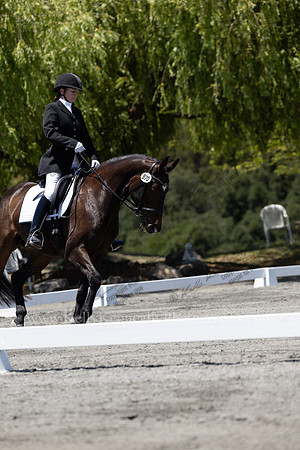 FFDressage23-00259