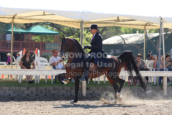 DAHA_FF22_2858