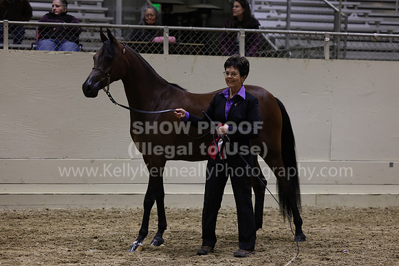 AHANC23_Wed_3028