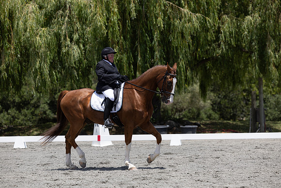 FFDressage23-3104