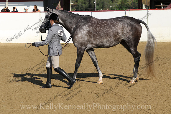 R2CH23_Sat_Deb_0809