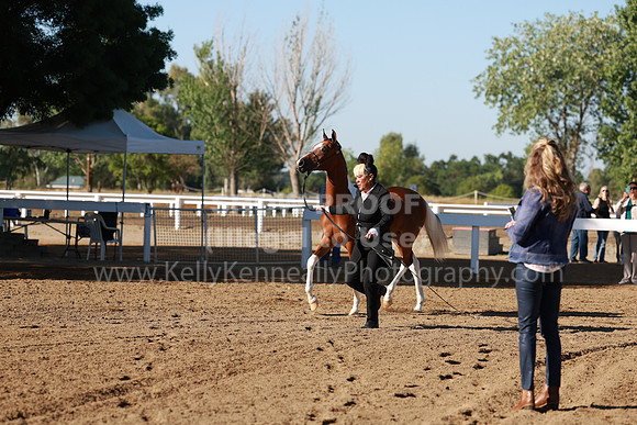 DAHA23_Fri_0064