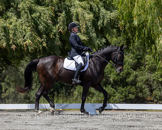 FFDressage23-5016