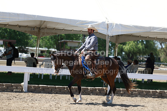DAHA23_Fri_1964