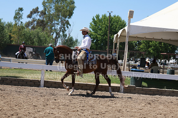 DAHA23_Fri_1788