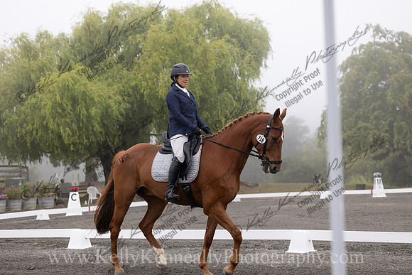 FFDressage23-0008
