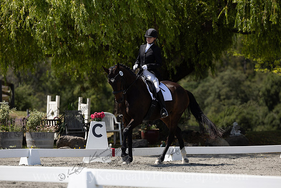 FFDressage23-00304