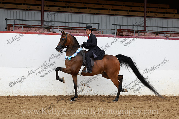 R2CH23_Thurs_5264