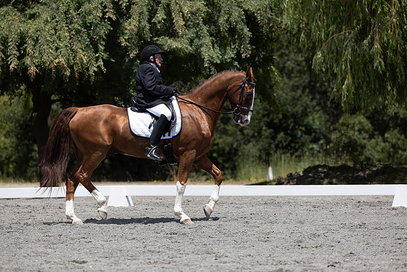 FFDressage23-3179