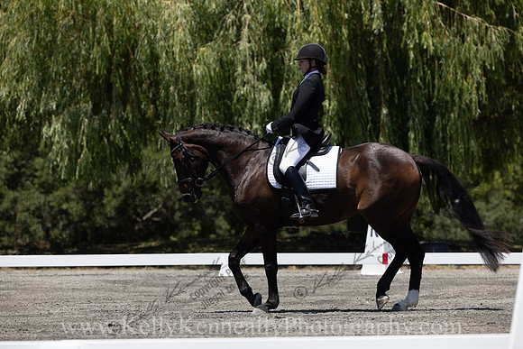 FFDressage23-00253