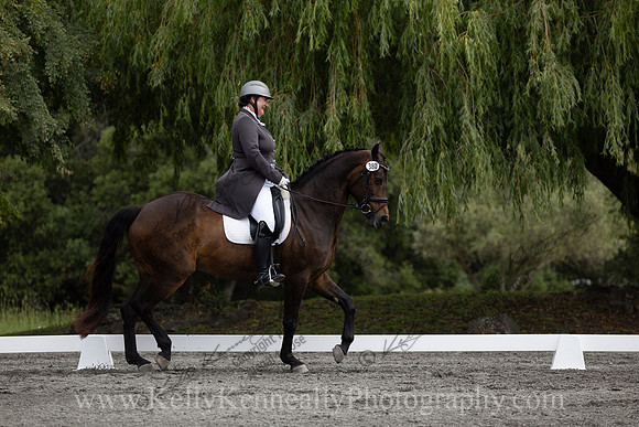 FFDressage23-00122