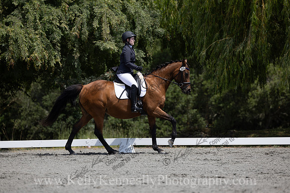 FFDressage23-00164