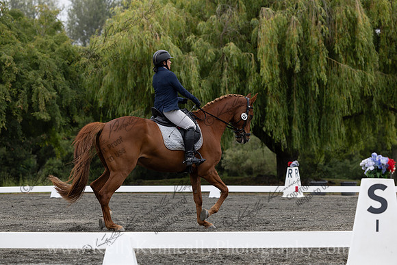 FFDressage23-1003