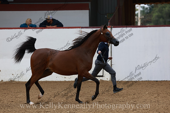 R2CH23_Thurs_0944