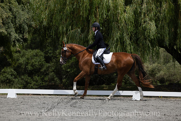FFDressage23-2786