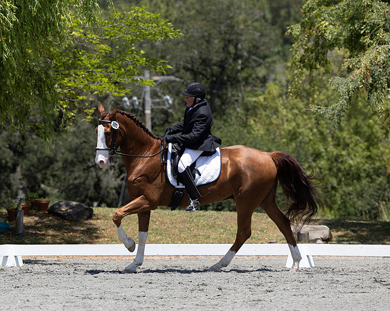 FFDressage23-00198