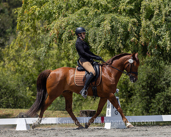 FFDressage23-4641