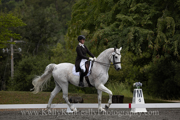 FFDressage23-00100