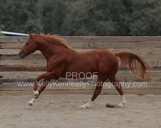 DocFall26_5721