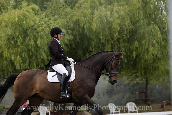 FFDressage23-0503
