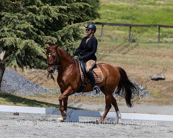 FFDressage23-4839