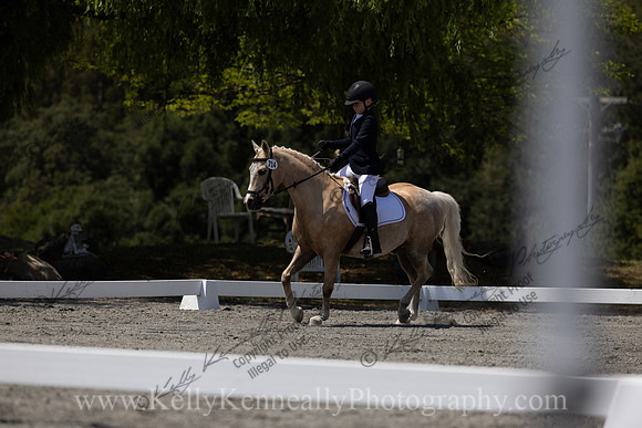 FFDressage23-00286