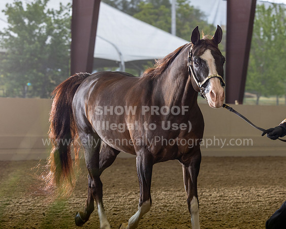 AHANC22_R5_Wed_0257