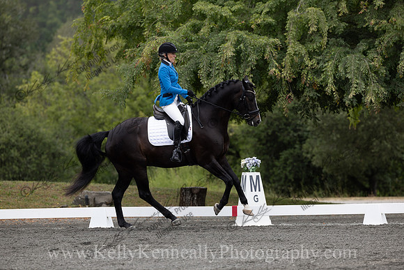 FFDressage23-00068