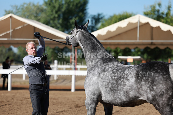 DAHA23_Fri_0169
