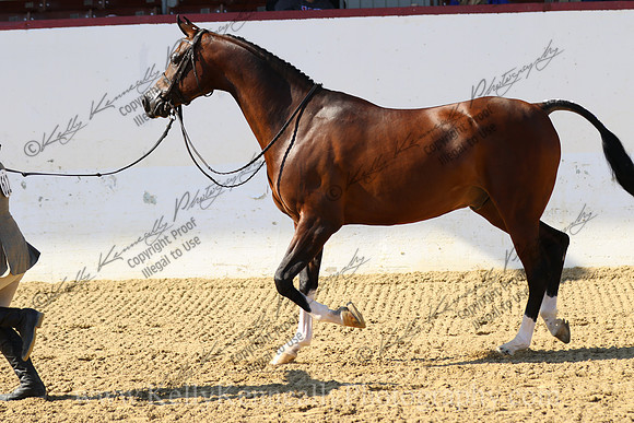 R2CH23_Sat_Deb_0956