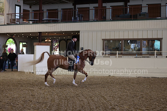 AHANC23_Wed_0416
