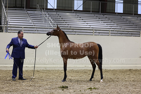 AHANC23_Wed_2987