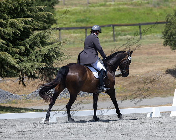 FFDressage23-5646