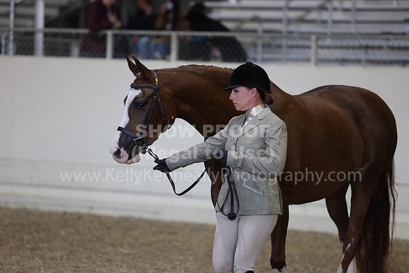 AHANC23_Wed_2810