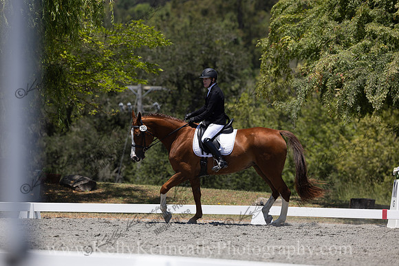 FFDressage23-00249