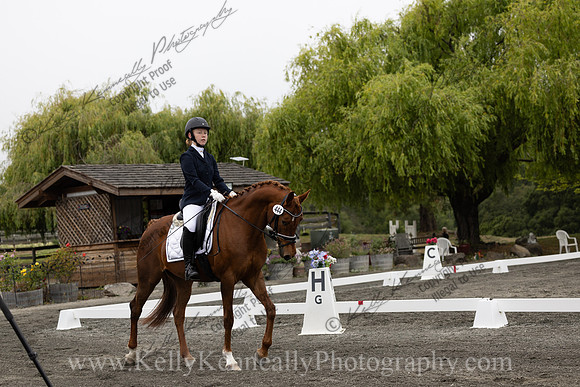 FFDressage23-0678