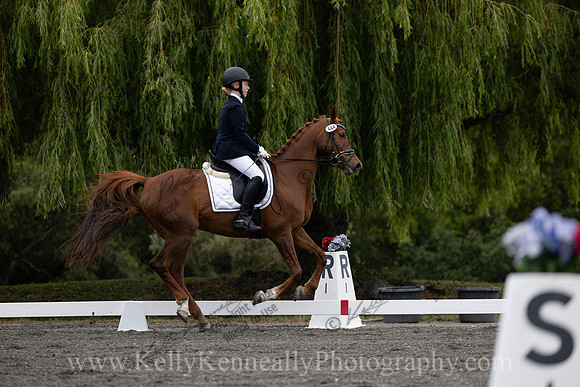 FFDressage23-0910